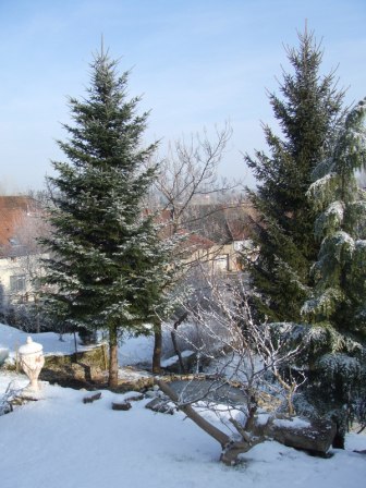 msp180209_243